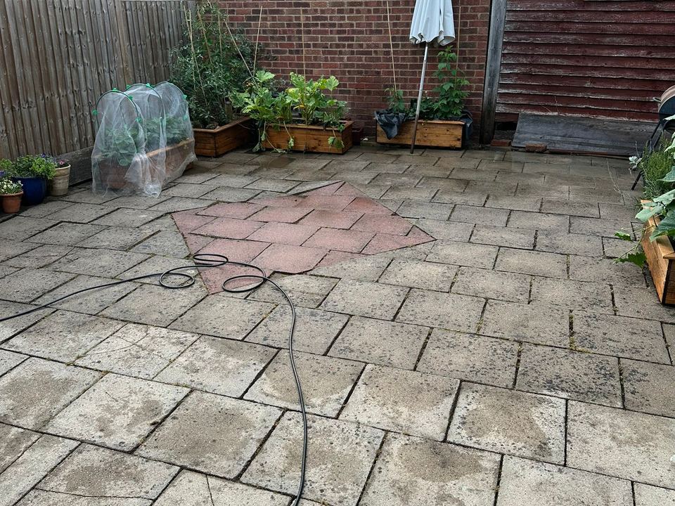 Garden with mature shrubs and seating
