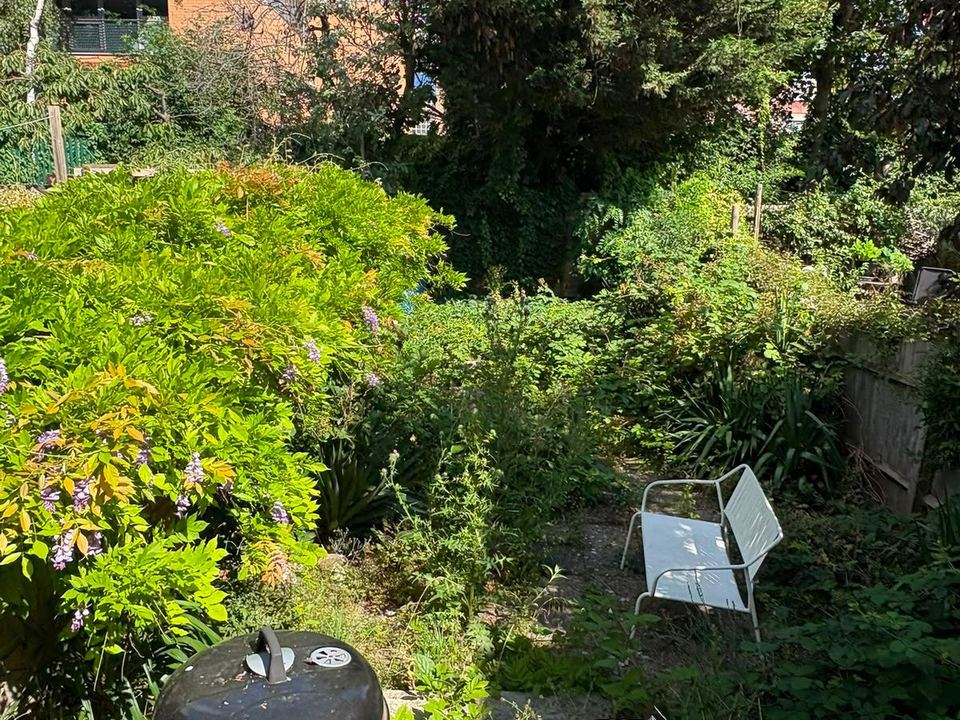 Freshly cleared garden space